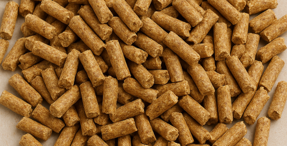 Besi Hayvan Yemi Üretimi Hakkında Bilgi