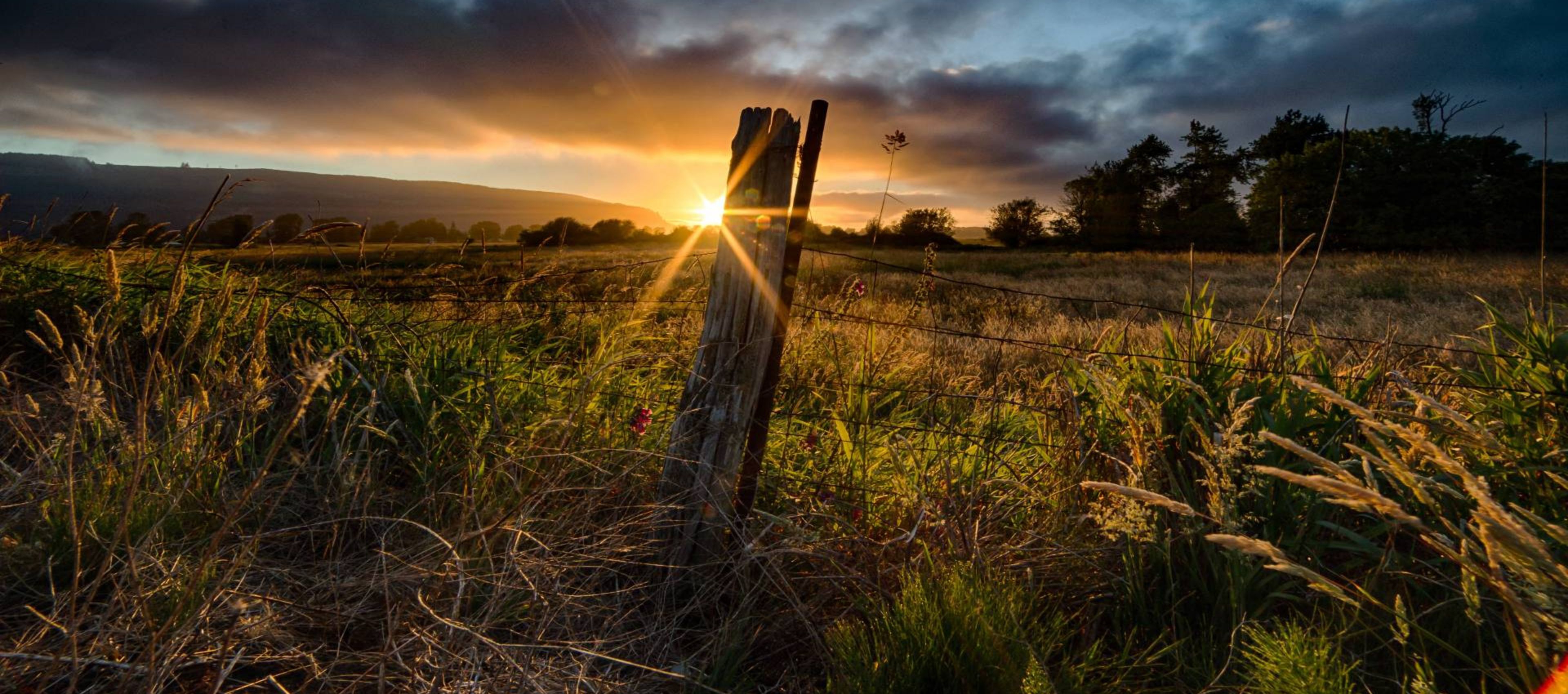 Mısır Flake,Arpa flake,Mısır hayvan yemi,Arpa ezmesi, hayvan yemi,Mısır hayvan yemi,Mısır flake yem,Arpa Flake yem